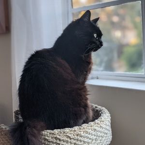 Meet your Posher, Misa